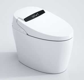 Smart toilet with bidet built in, Auto Open/Close lid Heated Seat One Piece Modern Bidet Toilet with Voice control and foam shield